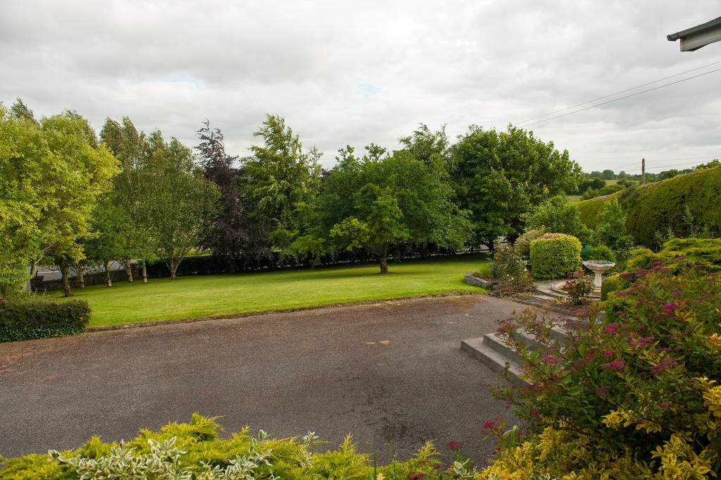 Fort House Bed & Breakfast Kilbeggan Exteriér fotografie