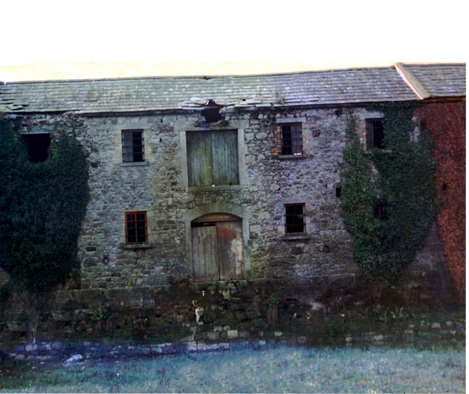 Fort House Bed & Breakfast Kilbeggan Exteriér fotografie